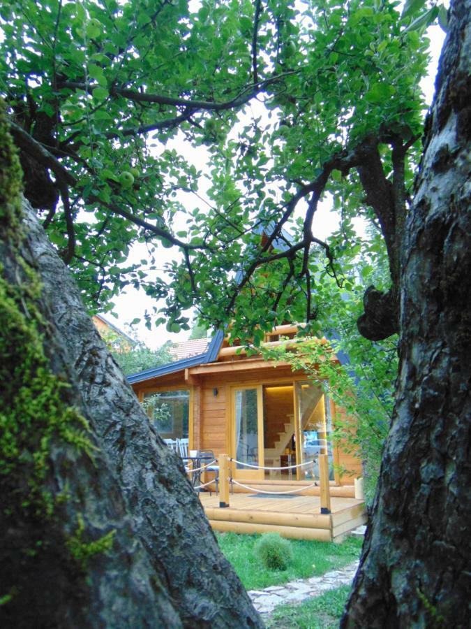 Apple House Villa เซทินเจ ภายนอก รูปภาพ